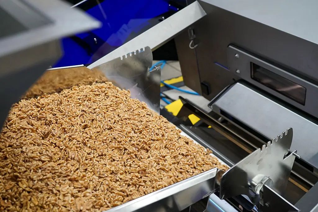 TOMRA-5C用于核桃分選