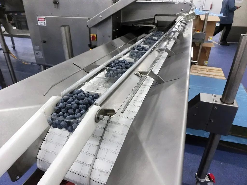 TOMRA藍莓解決方案