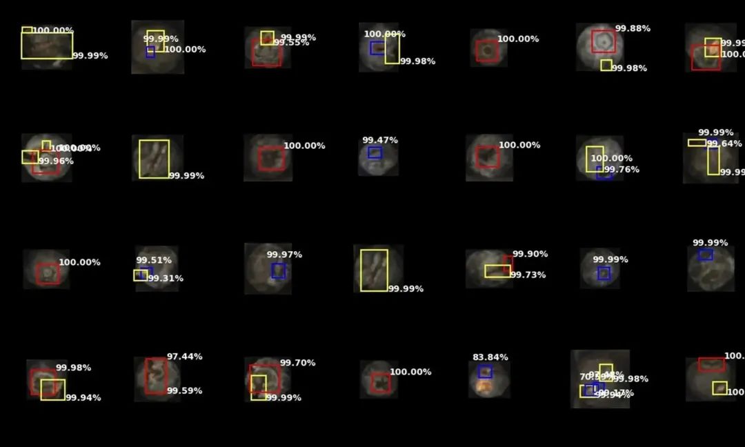 LUCAi人工智能引擎精確分析藍莓特性
