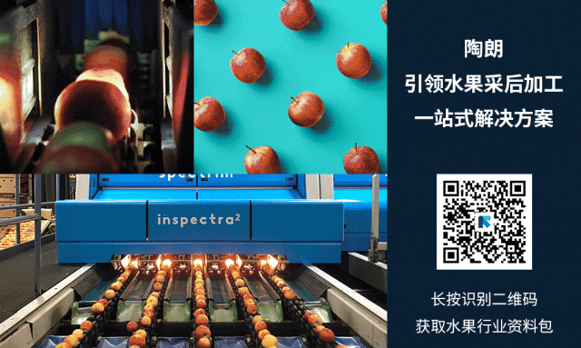 陶朗水果采后加工一站式解決方案