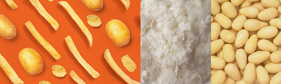 馬鈴薯加工產品