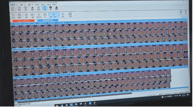 湘佳橘友：精準掌舵加陶朗AI分選技術，年銷量近2萬噸開創新紀錄