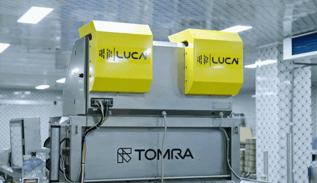 LUCAiTM人工智能引擎為藍莓從業者提供藍莓采后處理一站式解決方案。