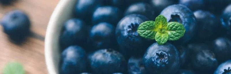 藍莓