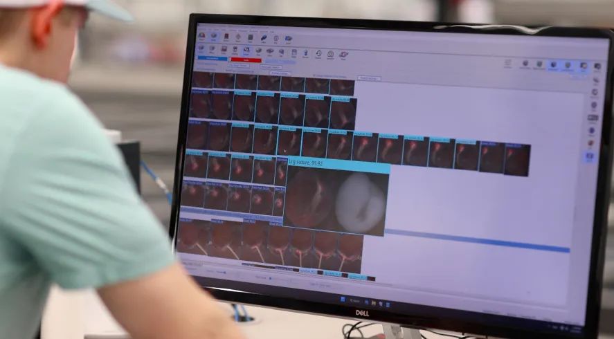 LUCAi?能精準分選櫻桃果中的擦傷、腐爛、脫水、裂口、脫皮、霉菌、疤痕、莖裂、軟果等。