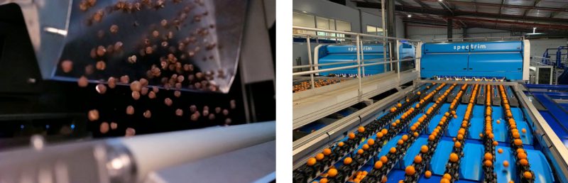 “值得信賴的團結”提高食品加工商和包裝廠盈利能力的十大理由