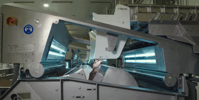 陶朗設備在貝格羅的產線運行