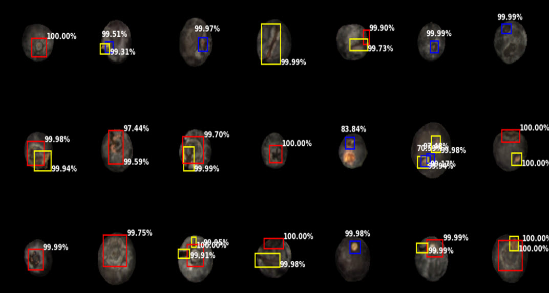識別藍莓產品瑕疵