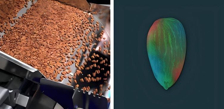 發現和剔除含有黃曲霉毒素的產品